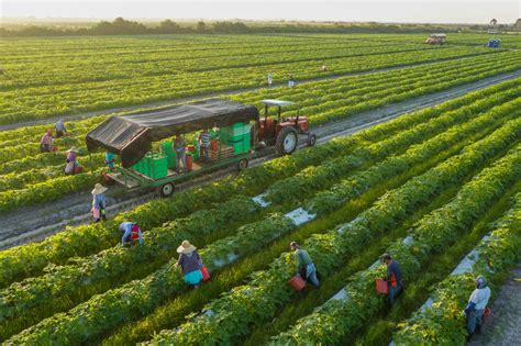  Zoroastrian Farm: Ancestral Wisdom for Sustainable Agriculture - Unveiling Ancient Secrets for a Modern World